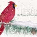 Merry Christmas {from afar}