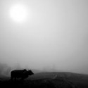 God’s Plow … My Longing