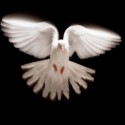 sacred remembrance…