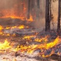 on chasing fires…