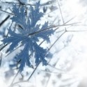 winter’s white